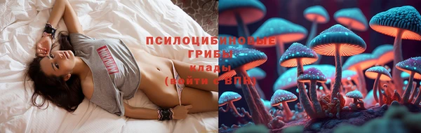 винт Бородино