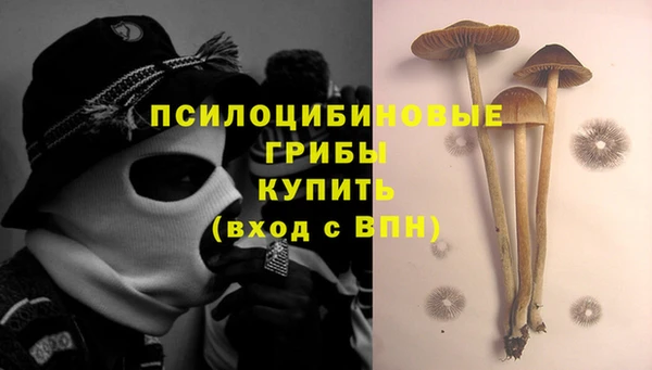 MDMA Богданович