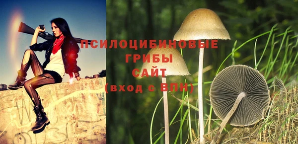 MDMA Богданович
