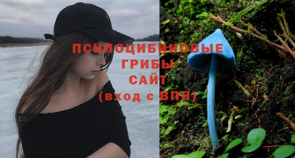 герыч Бугульма