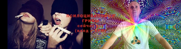 МДПВ Богородицк
