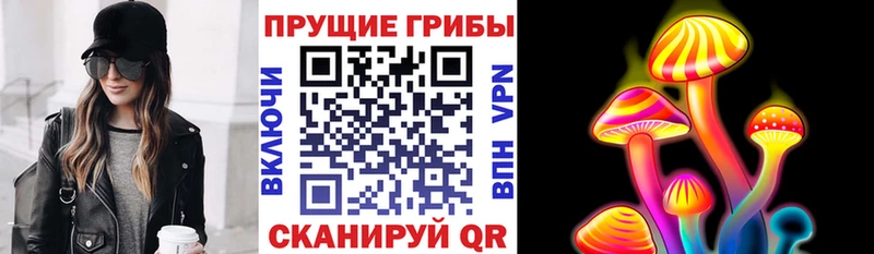 купить   Шелехов  Псилоцибиновые грибы прущие грибы 